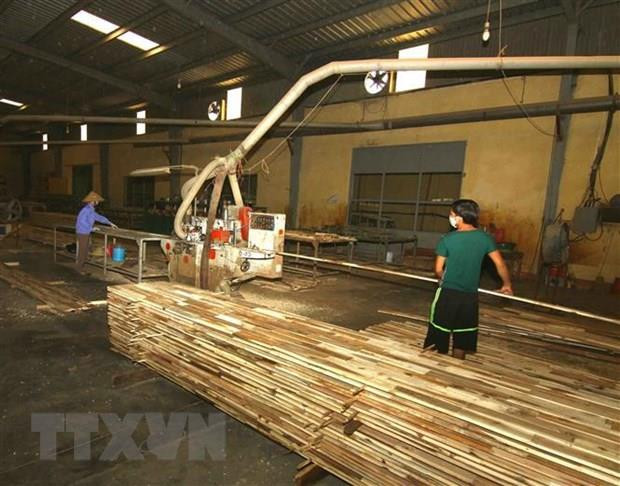 Wood processing firms should embrace technologies: experts ảnh 1 Wood processing firms should embrace technologies: experts ảnh 1