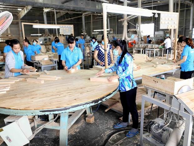Vietnam likely to gain 11 billion USD from wood, forest products ảnh 1 Vietnam likely to gain 11 billion USD from wood, forest products ảnh 1