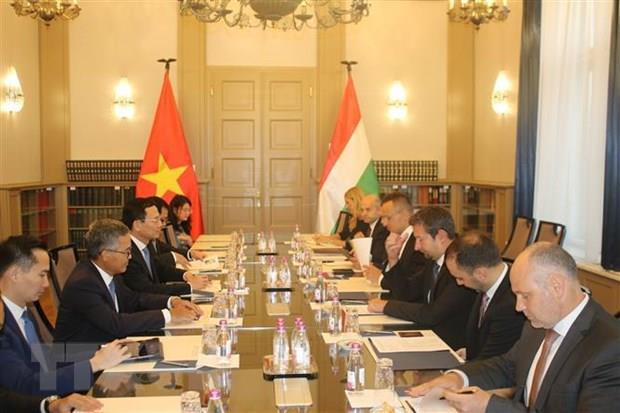 Vietnam looks to strengthen ICT cooperation with Hungary ảnh 1