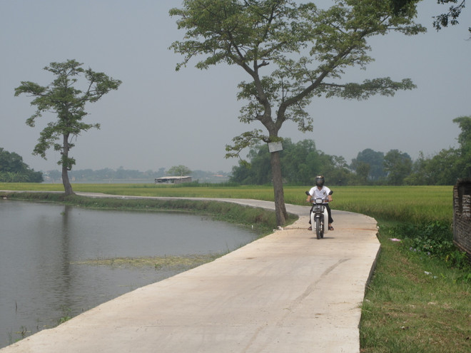 Rural road development still below expectations ảnh 1