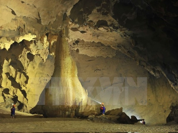 Germany finances conservation efforts in national park ảnh 1 Germany finances conservation efforts in national park ảnh 1