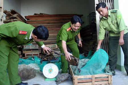Vietnam, African nations target wildlife trade ảnh 1