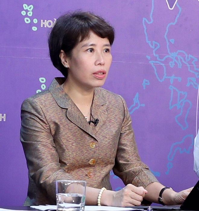 Vietnam facilitates operation of French investors: official ảnh 1