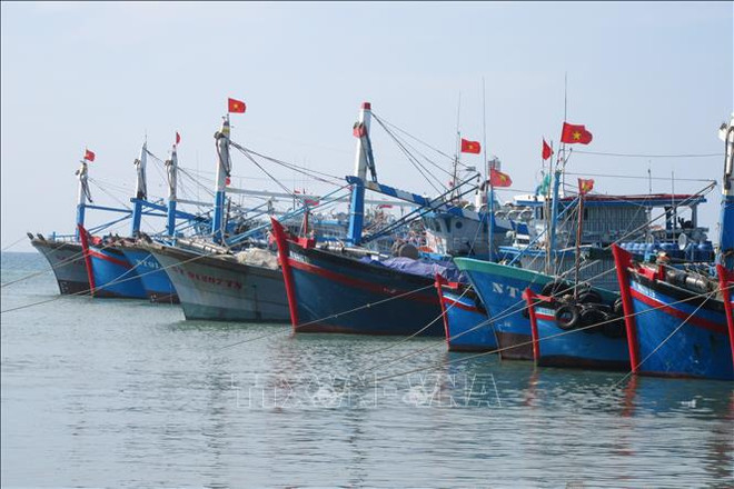 Quang Tri inspects high-risk vessels to fight illegal fishing ảnh 1