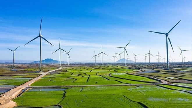Vietnam’s green economy expected to reach 300 billion USD by 2050 ảnh 1
