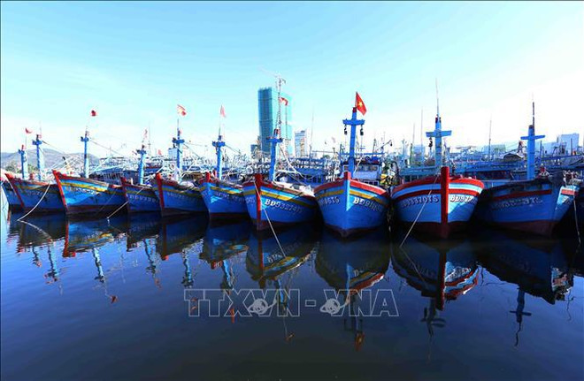 Binh Dinh province issues plan to fight IUU fishing ảnh 1 Binh Dinh province issues plan to fight IUU fishing ảnh 1