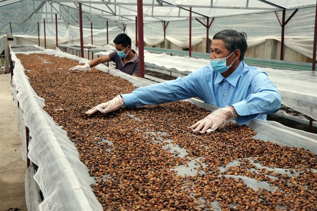 Stocks of coffee producers less appealing on market ảnh 1