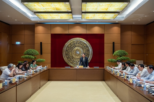 Ministries, NA departments urge capital allocation for public investment ảnh 1