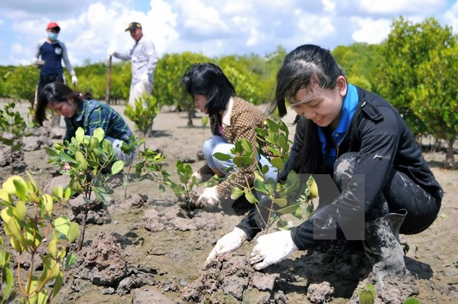EU furthers support for Vietnam to cope with climate change ảnh 1