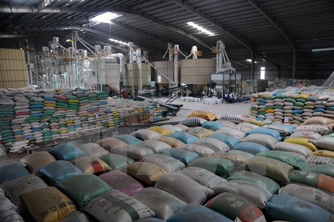 EU, Vietnam move towards free trade agreement ảnh 1