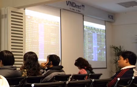 HCM Stock Exchange introduces new sector indexes ảnh 1