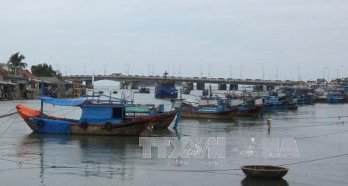 WB considers loan for environmental sanitary project ảnh 1 WB considers loan for environmental sanitary project ảnh 1