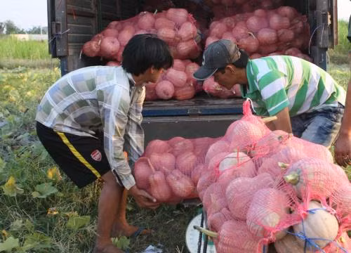 Mekong Delta localities calls for investment ảnh 1