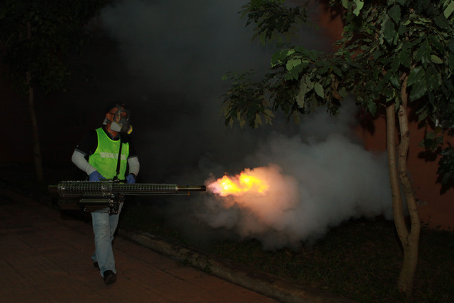HCM City using thermal foggers to kill mosquitoes ảnh 1