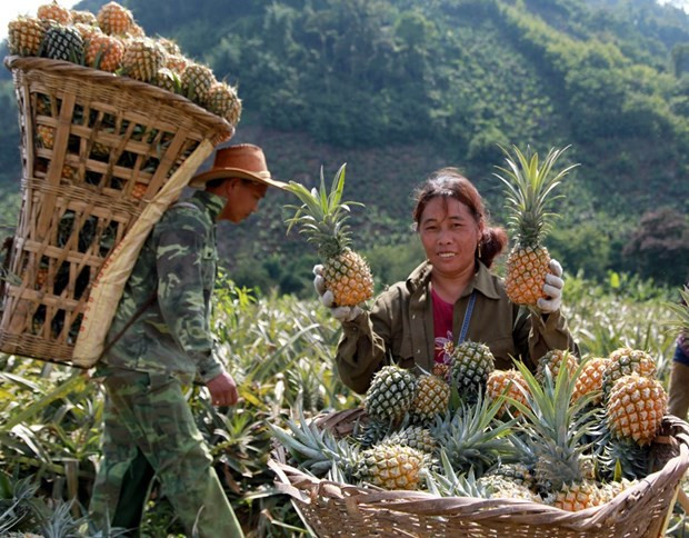 Capital convergence helps boost poverty reduction ảnh 2