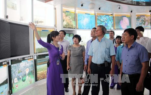 Romanian Prime Minister visits Quang Ninh ảnh 1