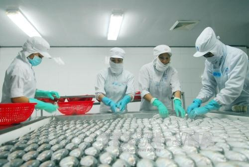 Vietnam promotes exports to Australia, New Zealand ảnh 1