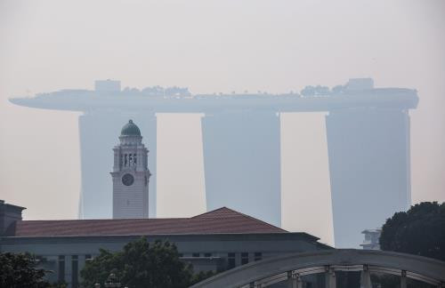 Dozens of Indonesians hospitalised due to smoke from forest fire ảnh 1