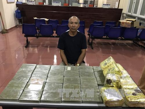 Hai Phong seizes biggest-ever drug volume ảnh 1