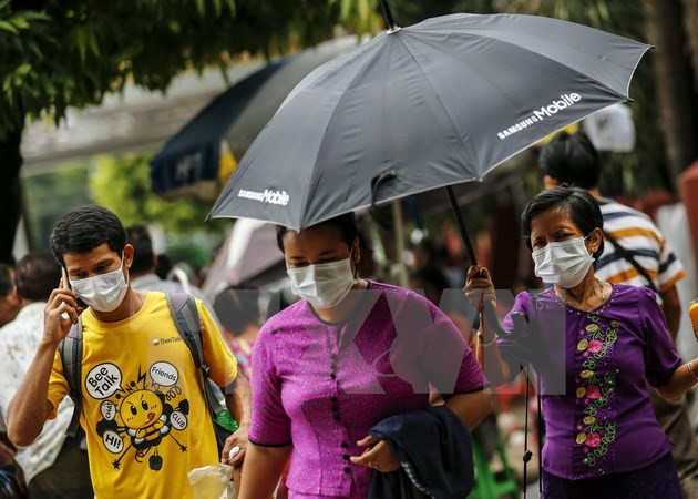 Bird flu, swine flu break out in Myanmar ảnh 1 Bird flu, swine flu break out in Myanmar ảnh 1
