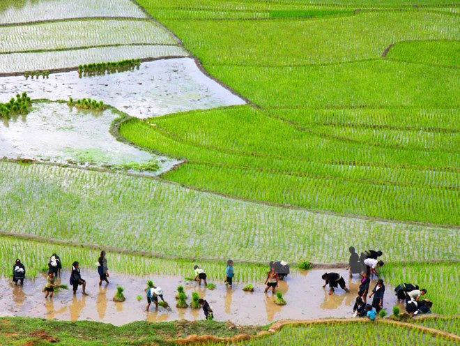 Workshop spotlights draft APEC action plan on rural-urban development ảnh 1 Workshop spotlights draft APEC action plan on rural-urban development ảnh 1
