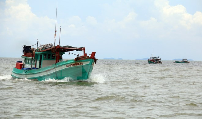 Vietnam strongly protests use of force against Vietnamese fishermen ảnh 1