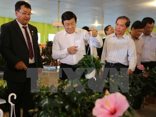 President visits hi-tech agricultural farms in Lam Dong ảnh 1