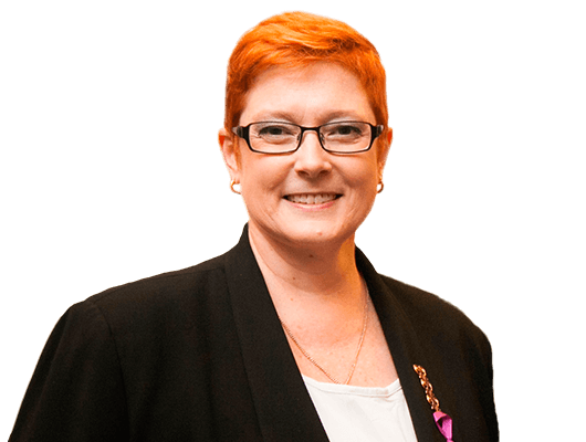 Australia, India look to build prosperous Indo-Pacific ảnh 1