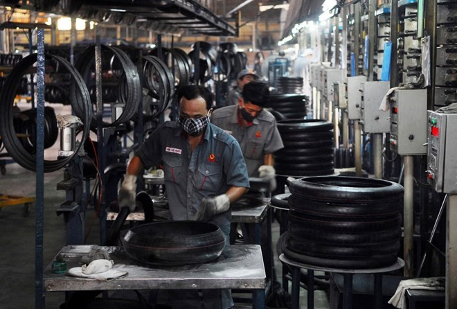 Business households need to receive due respect: VCCI chairman ảnh 1 Business households need to receive due respect: VCCI chairman ảnh 1