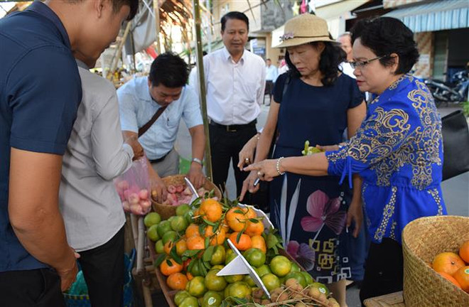 More than 1,000 safe agricultural models set up ảnh 1