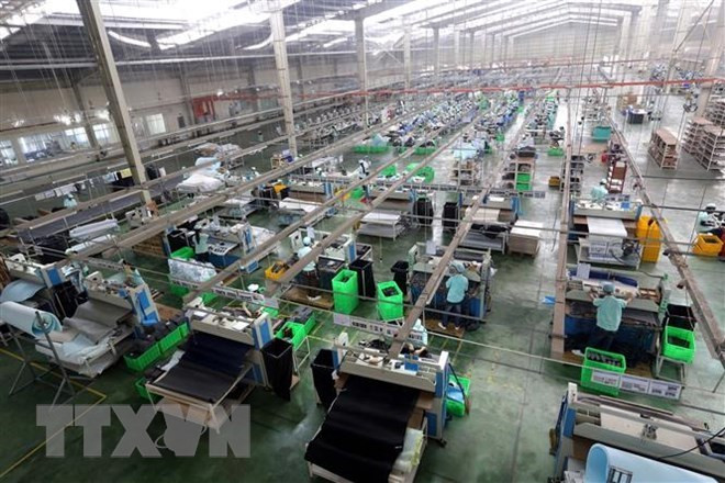 Vietnamese exporters advised to strictly follow origin regulations ảnh 1