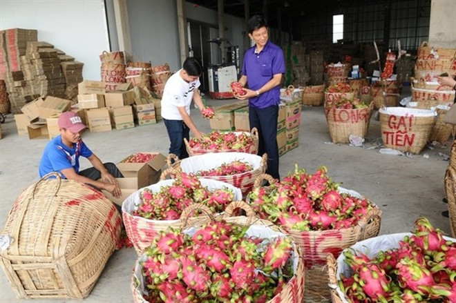 Vietnam likely to be affected by RoK’s tougher pesticide rules ảnh 1 Vietnam likely to be affected by RoK’s tougher pesticide rules ảnh 1