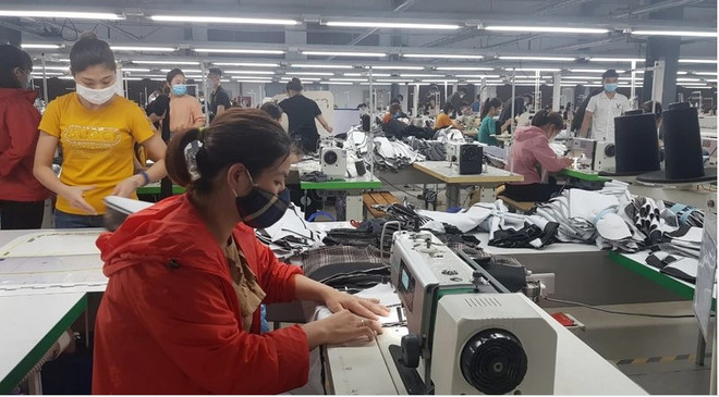 Vietnam ushering in more hopeful Year of Dragon: HSBC ảnh 1 Vietnam ushering in more hopeful Year of Dragon: HSBC ảnh 1