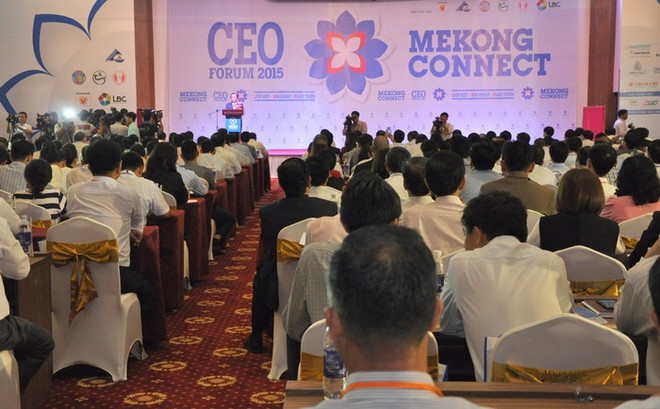 Mekong Connect-CEO Forum 2016: Seeking chances in challenges ảnh 1