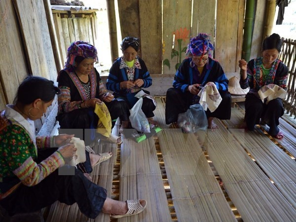 Microfinance provides leverage for women to escape poverty: official ảnh 1 Microfinance provides leverage for women to escape poverty: official ảnh 1