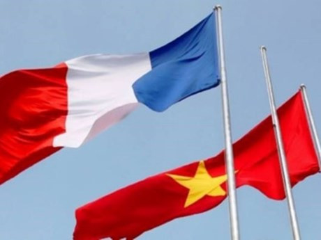 Vietnam-France ties thrive: ambassador ảnh 1 Vietnam-France ties thrive: ambassador ảnh 1