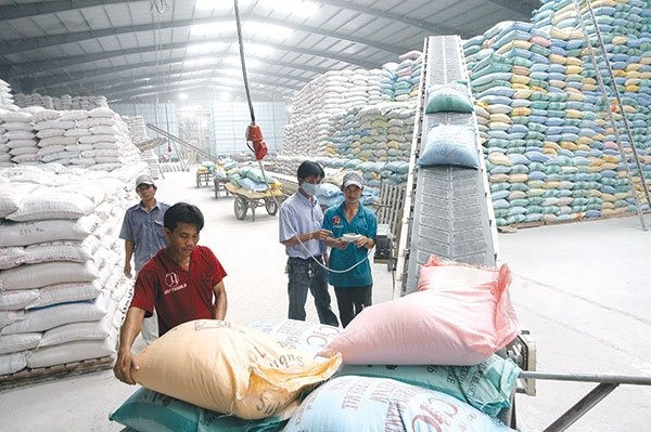 World Rice Conference to be held in Hanoi next month ảnh 1 World Rice Conference to be held in Hanoi next month ảnh 1