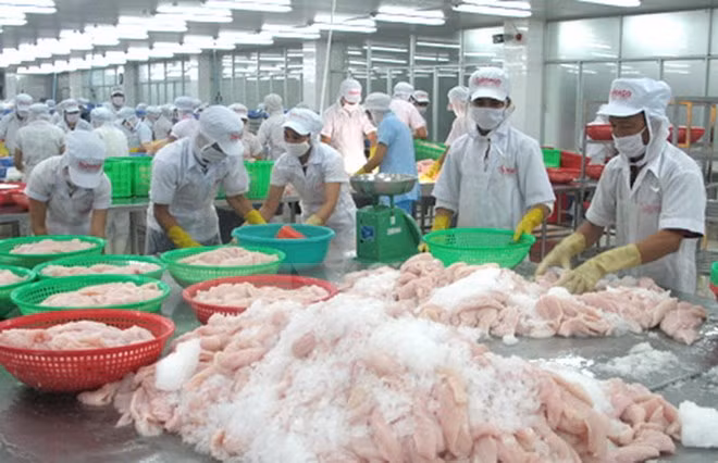 Modern processing, preserving technology ensures food safety: experts ảnh 1