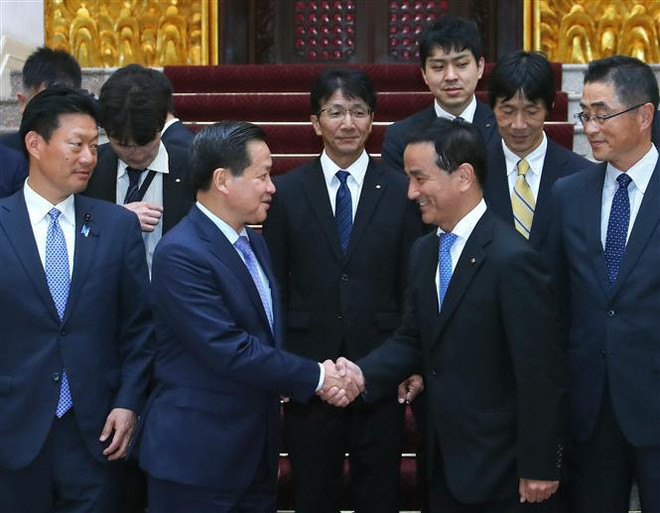 Deputy Prime Minister hails development of Vietnam-Japan relations ảnh 1