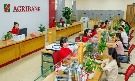 Banks join in promoting green credit ảnh 1 Banks join in promoting green credit ảnh 1