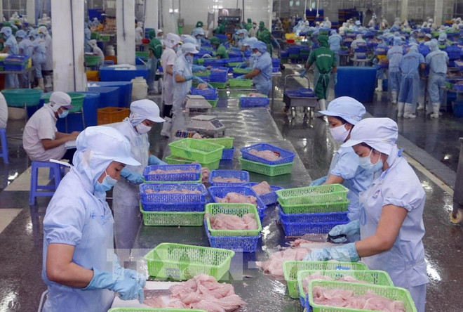 Vietnam, US witness strides in trade connections ảnh 2