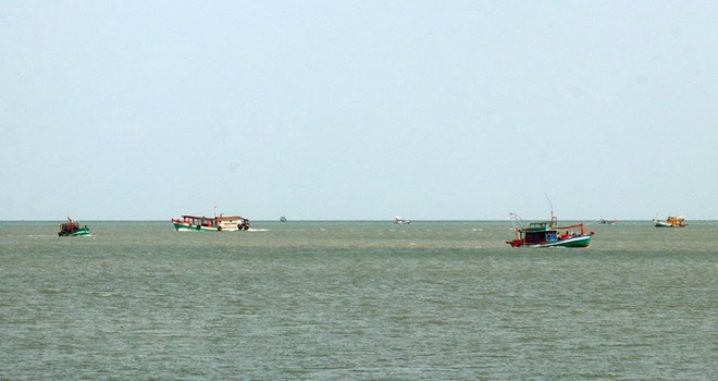 HCM City striving to end illegal fishing ảnh 1