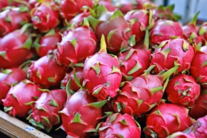 Vietnam yet to receive any UK warning on dragon fruit: official ảnh 1