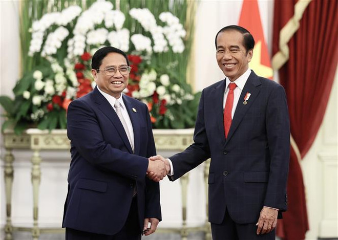 Vietnam, Indonesia eye comprehensive strategic partnership ảnh 1
