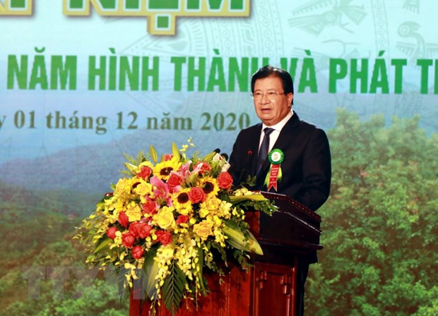Forestry production expected to grow 5-5.5 percent annually in next five years ảnh 1