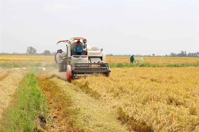 Long An to expand high-quality, hi-tech rice farming ảnh 1