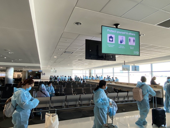 Over 240 Vietnamese citizens brought home from Singapore ảnh 1