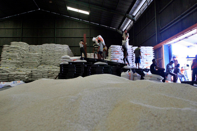 Indonesia purchases rice from Pakistan ảnh 1 Indonesia purchases rice from Pakistan ảnh 1