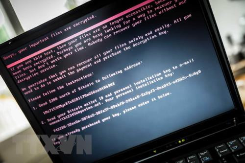 Over 3,100 cyber attacks hit Vietnam in six months ảnh 1 Over 3,100 cyber attacks hit Vietnam in six months ảnh 1