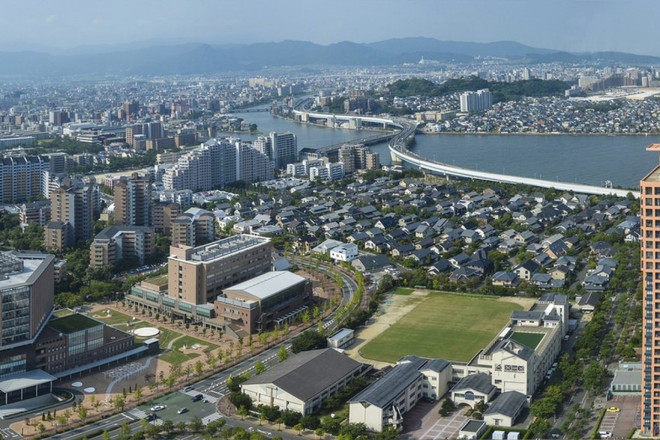 Vietnamese association to be set up in Japan’s Fukuoka prefecture ảnh 1